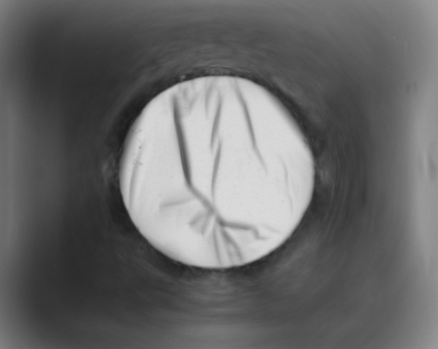 X0000088701495200706282012