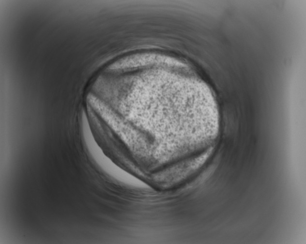 X0000088701497200706282012