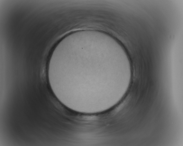 X0000088701498200706282012