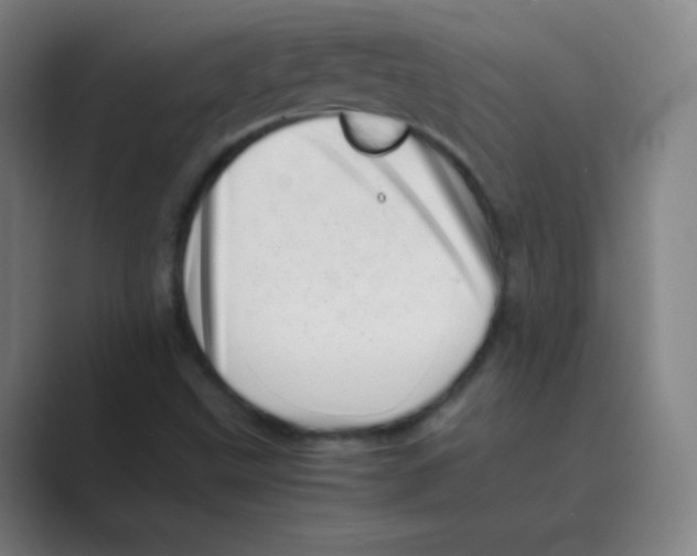 X0000088701499200706282012