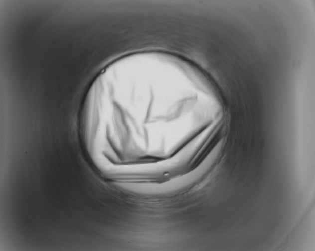 X0000088701500200706282012