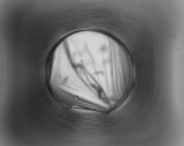 X0000088701501200706282012