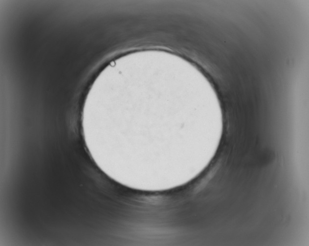 X0000088701502200706282012