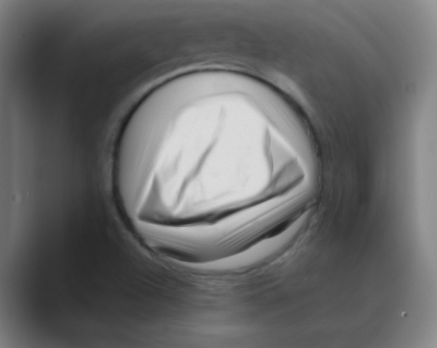 X0000088701504200706282012