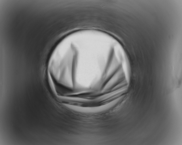 X0000088701507200706282012