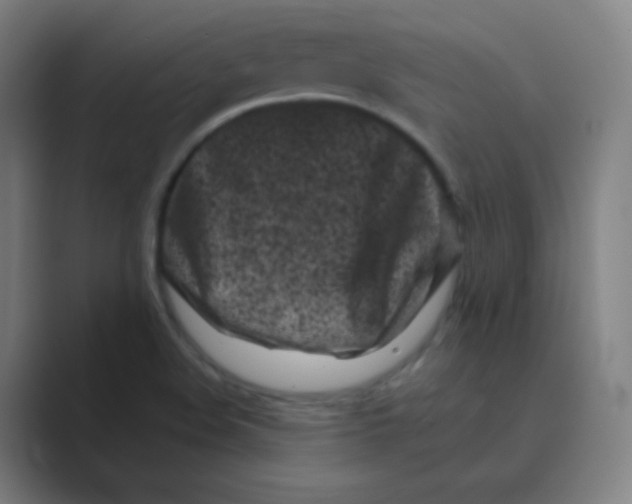 X0000088701508200706282012