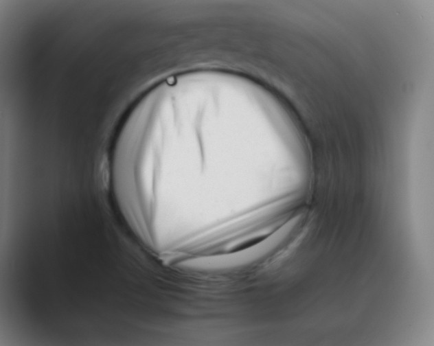 X0000088701509200706282012