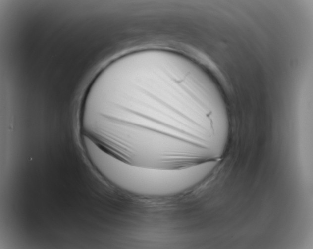 X0000088701512200706282012