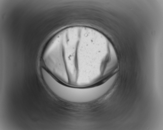 X0000088701517200706282012