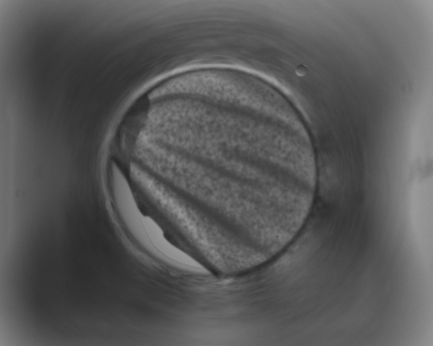 X0000088701519200706282012