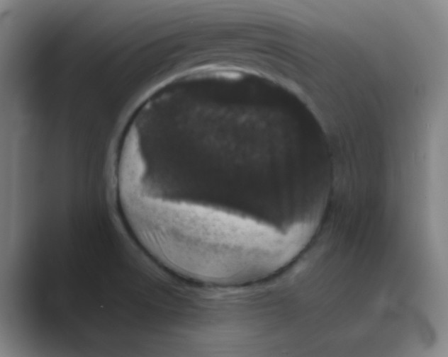 X0000088701522200706282012