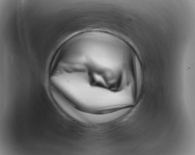 X0000088701525200706282013