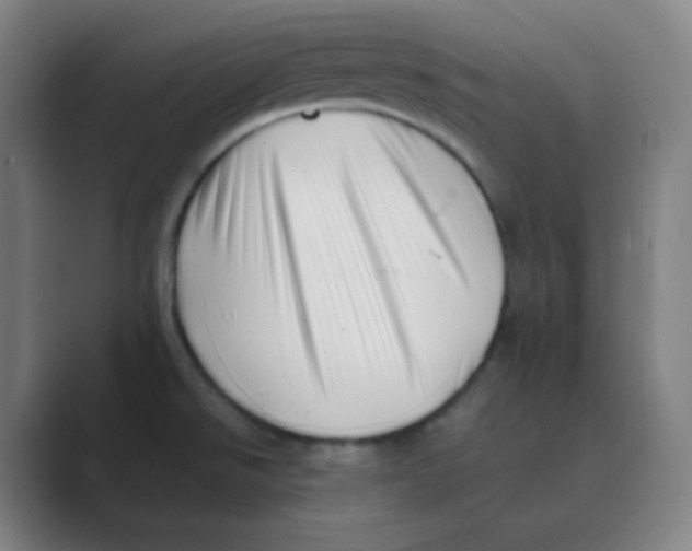 X0000088701526200706282013