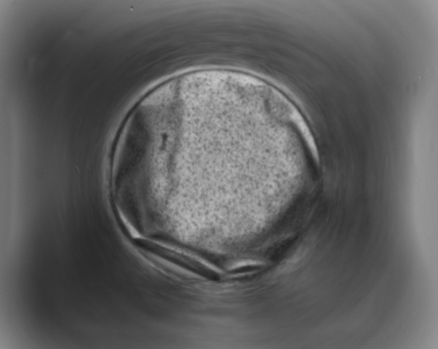 X0000088701527200706282013