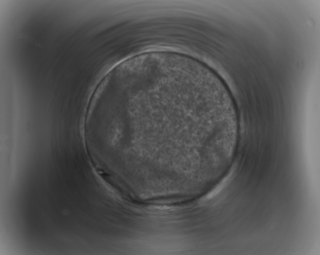 X0000088701529200706282013