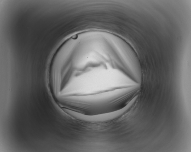 X0000088701531200706282013