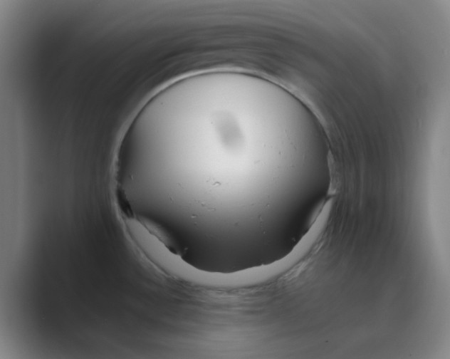 X0000088701532200706282013