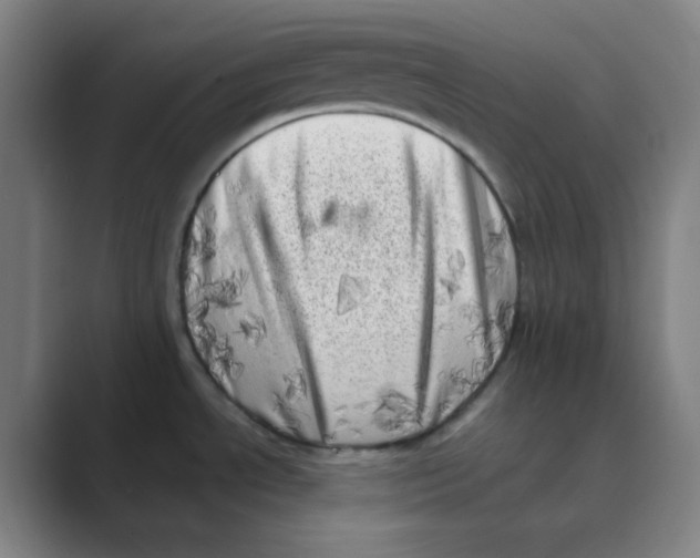 X0000088701534200706282013