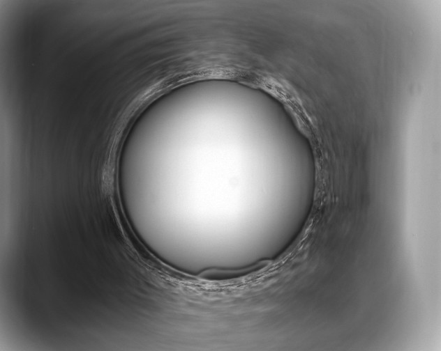 X0000088710003200705311047