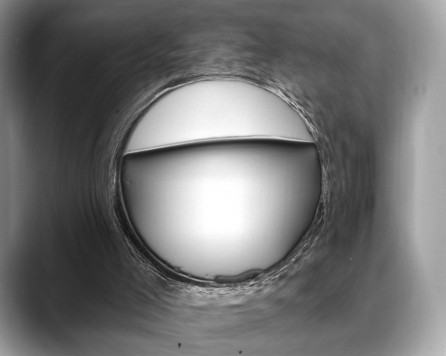 X0000088710005200705311047