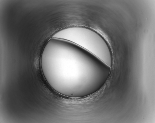 X0000088710009200705311047
