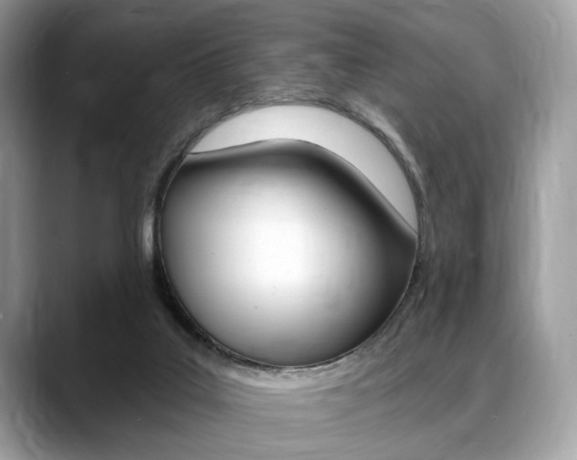 X0000088710019200705311047