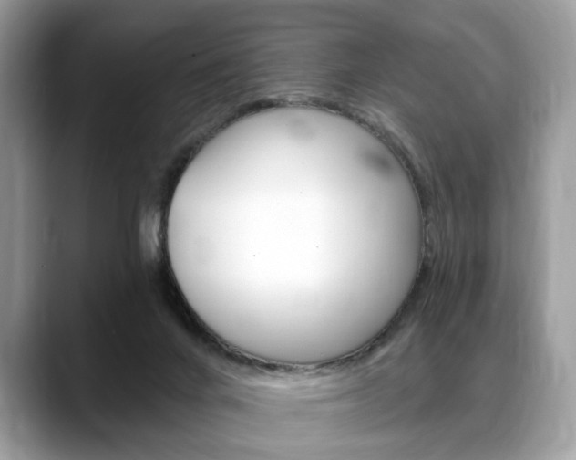 X0000088710024200705311047