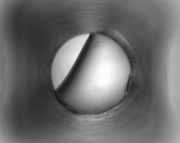 X0000088710025200705311047