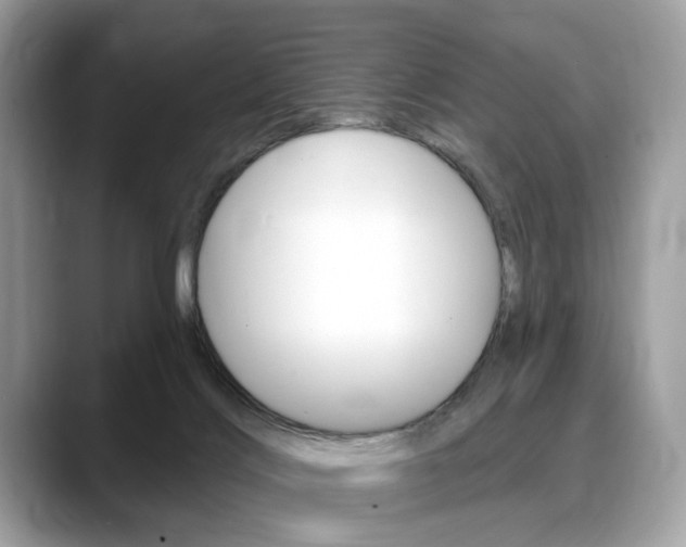 X0000088710028200705311046
