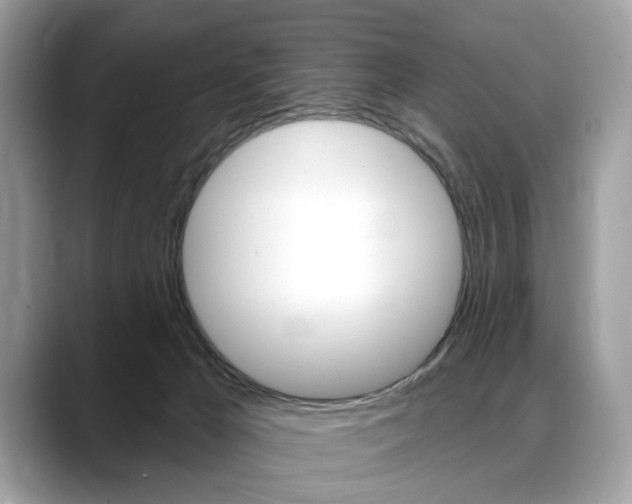 X0000088710029200705311046