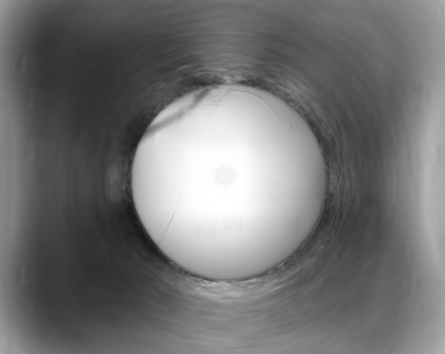 X0000088710030200705311046