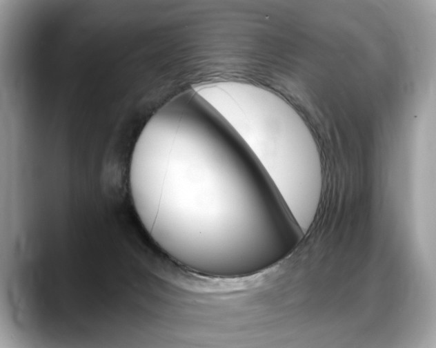 X0000088710031200705311046