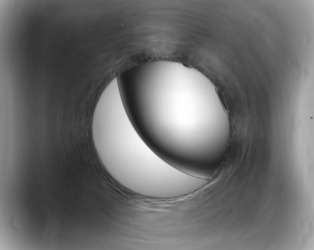 X0000088710033200705311046