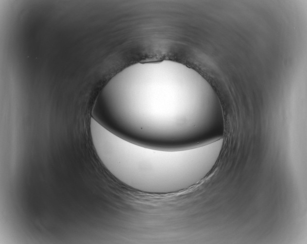 X0000088710037200705311046