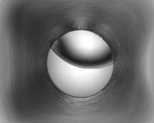 X0000088710039200705311046