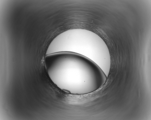 X0000088710045200705311046