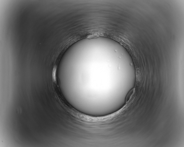 X0000088710047200705311046