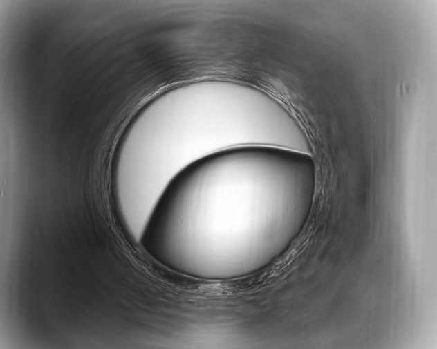 X0000088710050200705311046