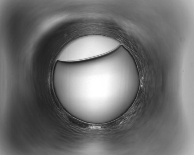 X0000088710052200705311046