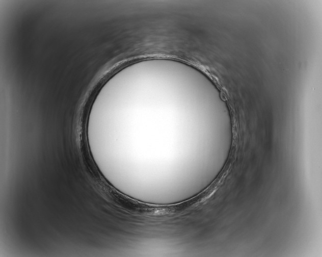 X0000088710056200705311046