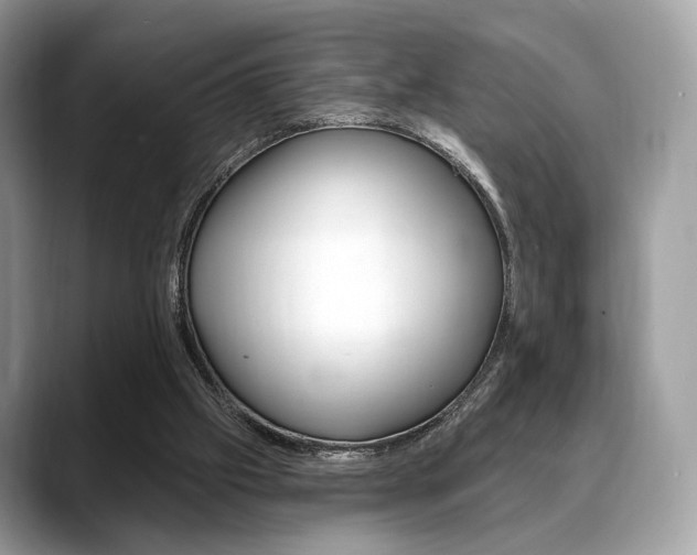 X0000088710057200705311046