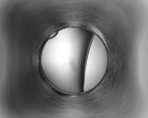 X0000088710059200705311046