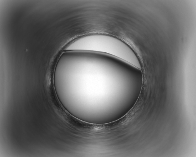 X0000088710060200705311046