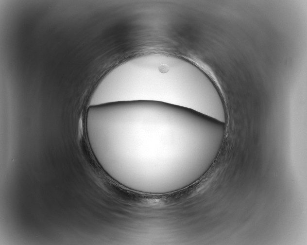 X0000088710061200705311046