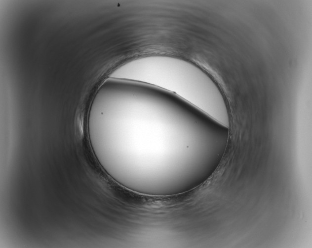 X0000088710062200705311046