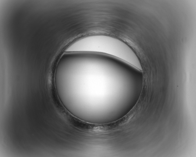 X0000088710064200705311046