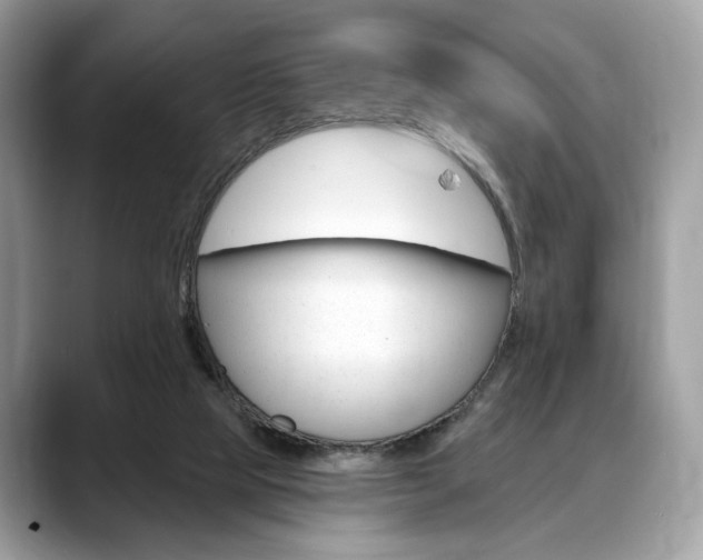 X0000088710065200705311046