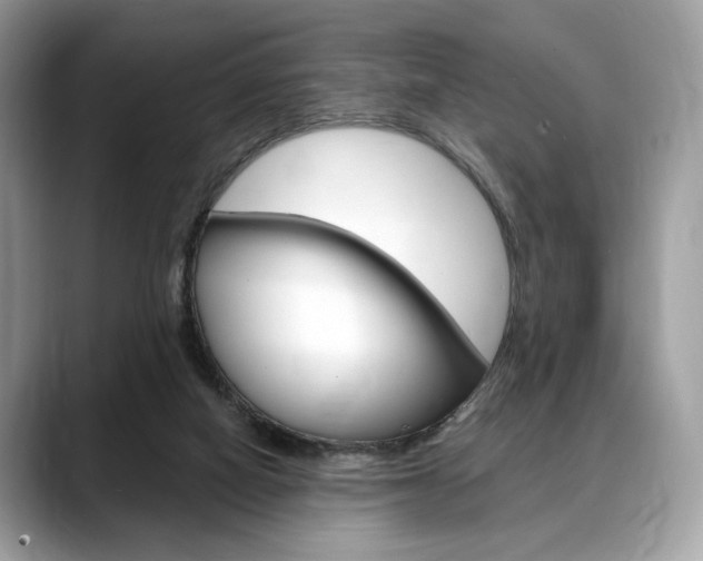 X0000088710066200705311046