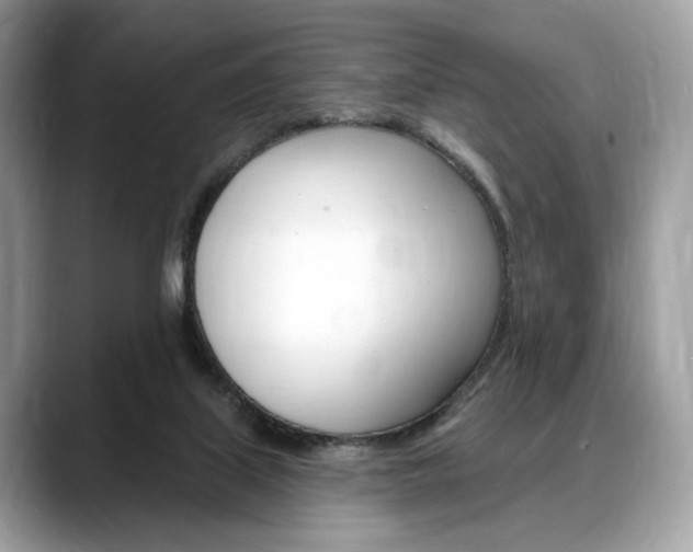 X0000088710067200705311046