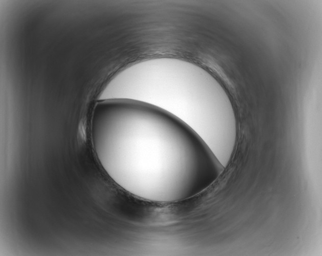 X0000088710068200705311046